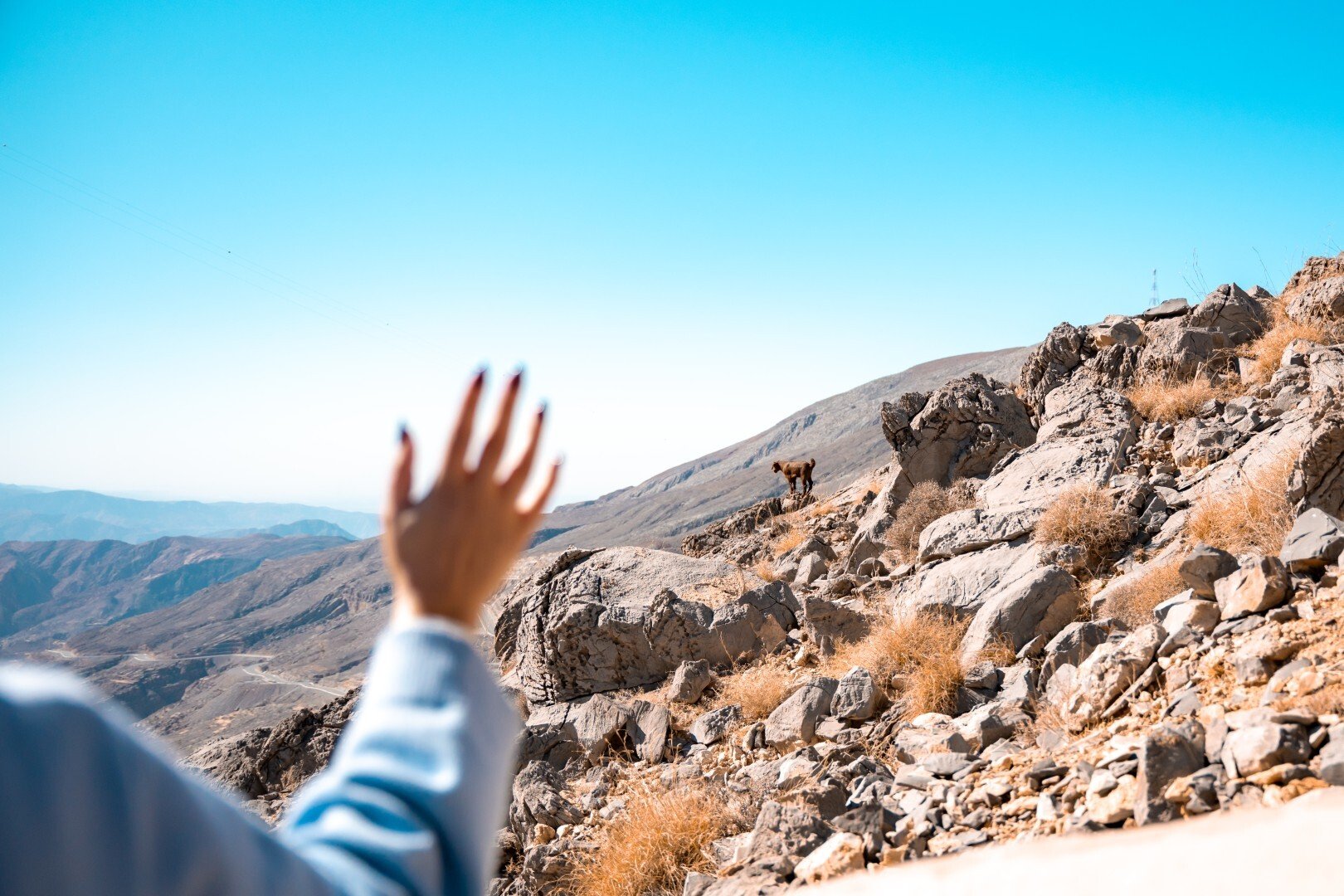 Facts About Jebel Jais: UAE’s Tallest Mountain Guide
