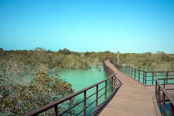 Where to Experience Nature Near Dubai