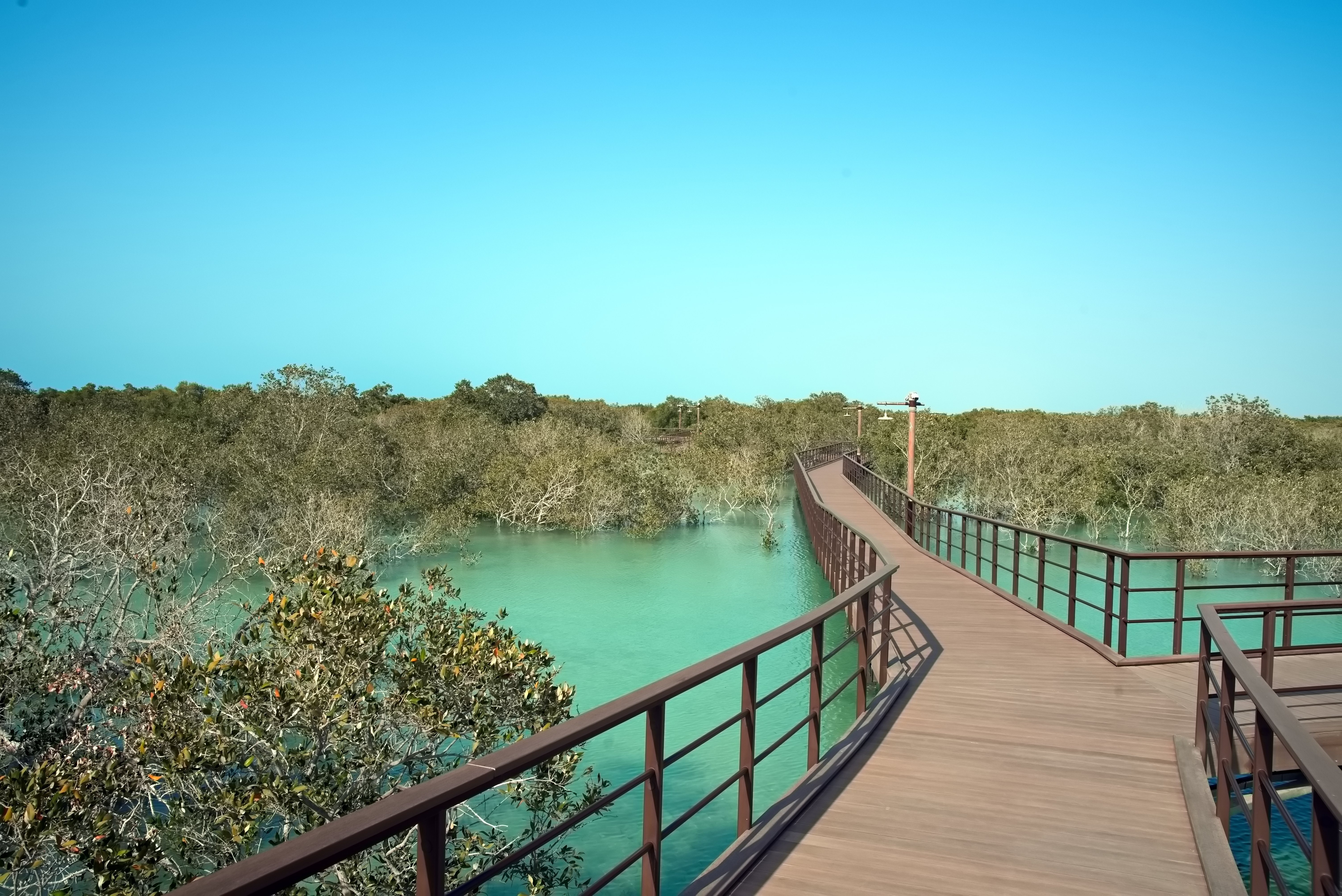 How to Experience the Jebel Jais Nature