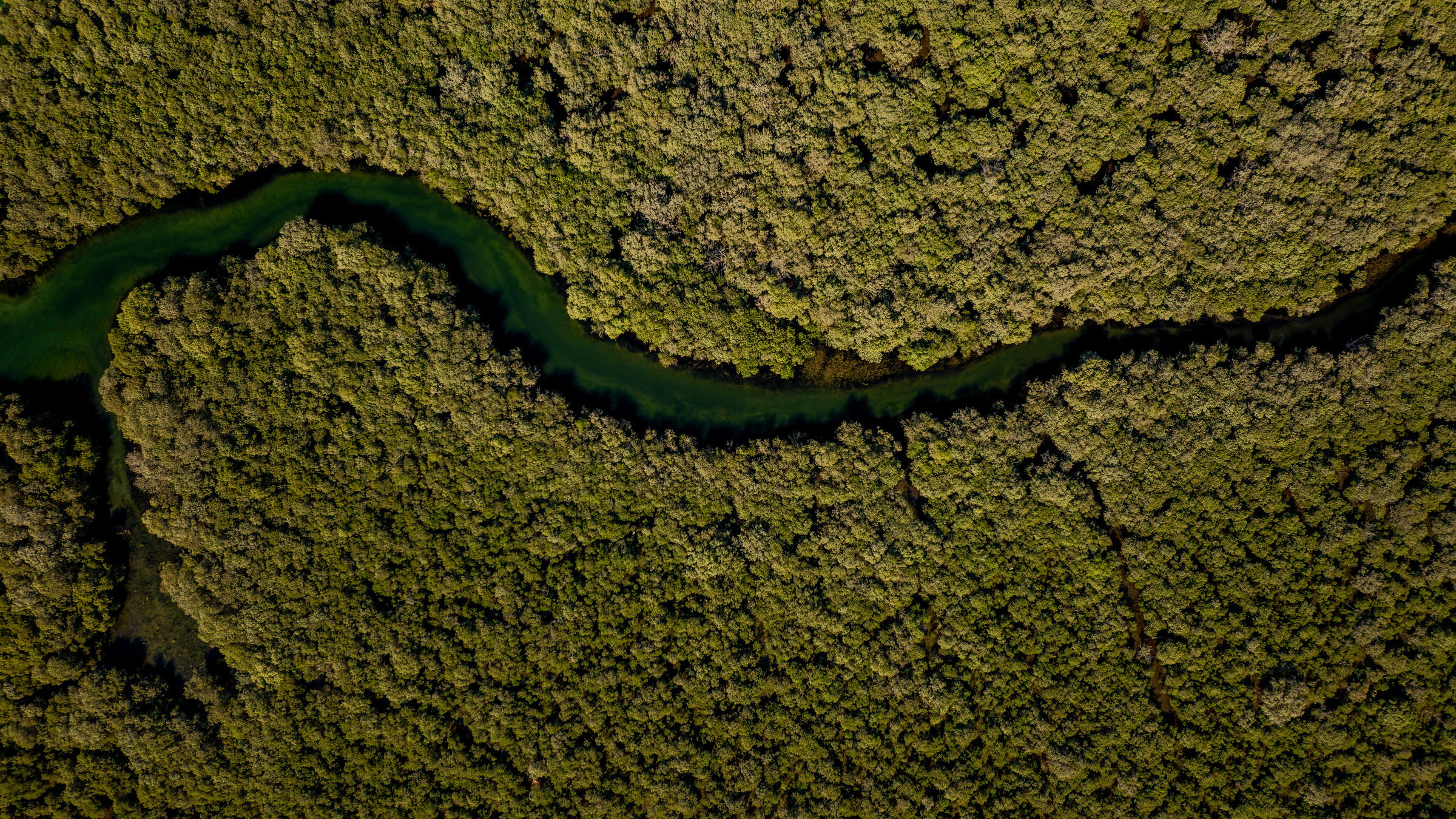 nature places in uae