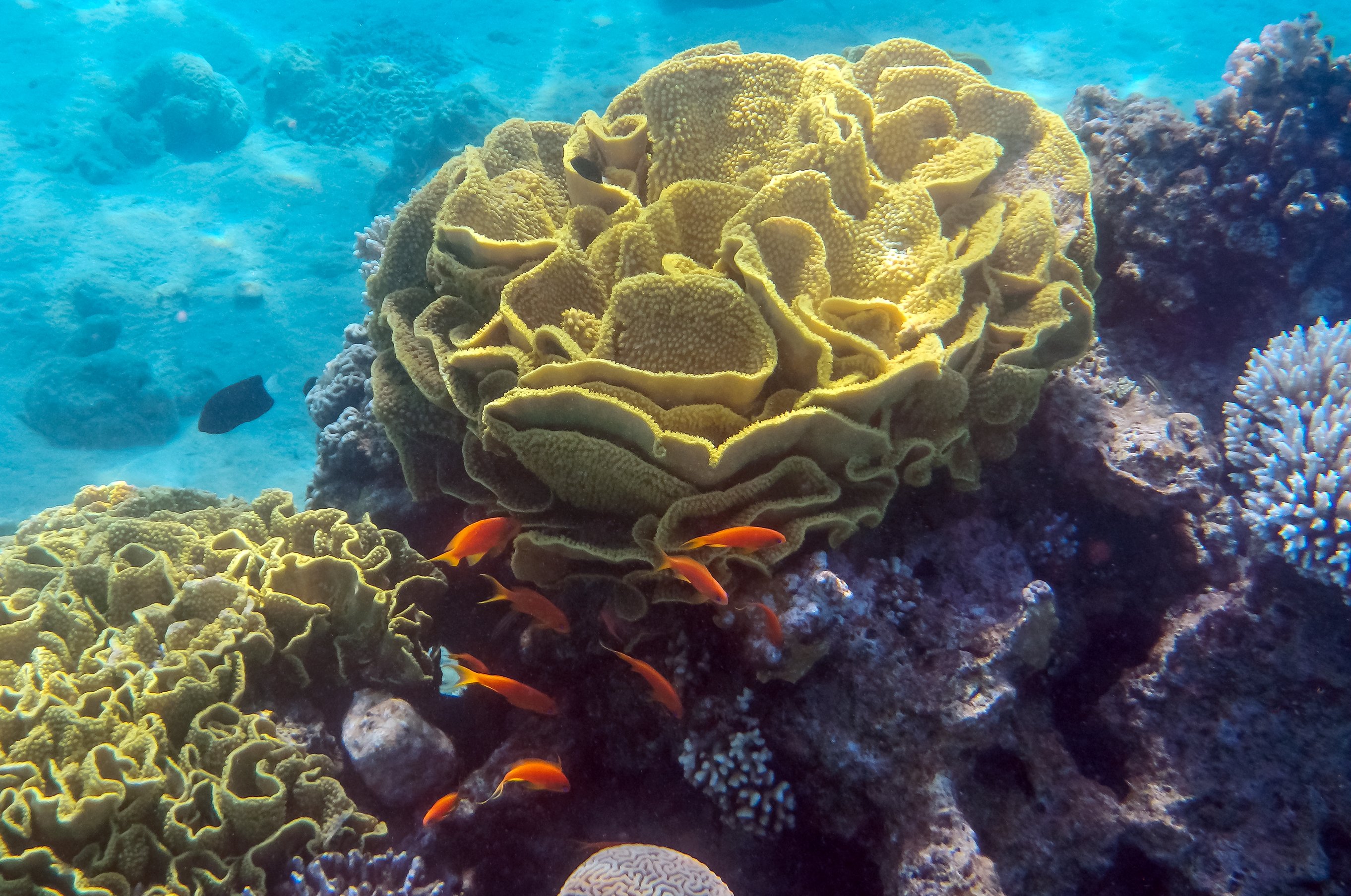 shutterstock_1794200308