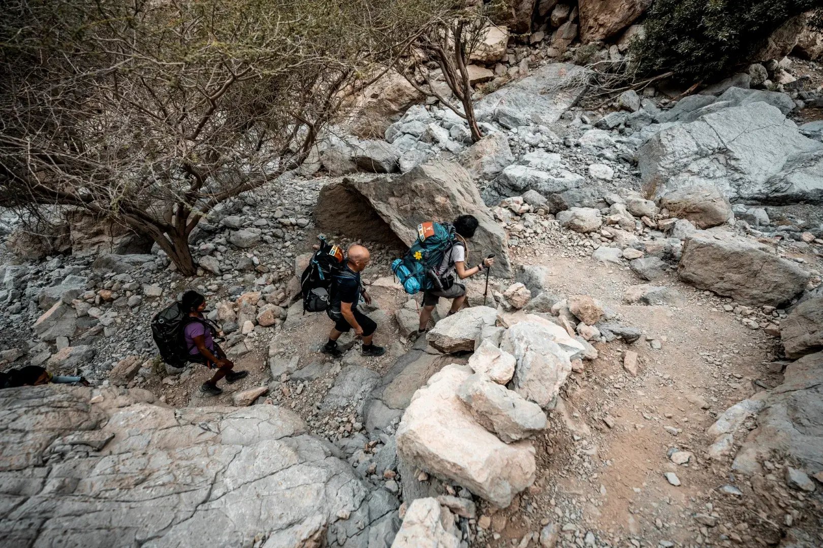 1_HL_UAE_Photo_Predrag_Vuckovic_0097 (Large)