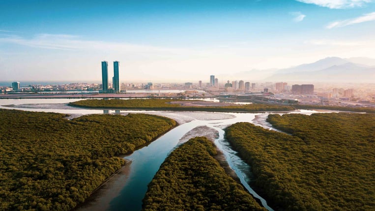 Ras Al Khaimah UAE Transformation in a New Era
